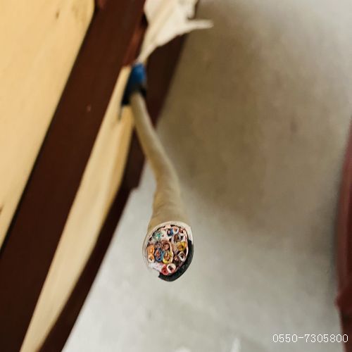 ֵ³113.jpg