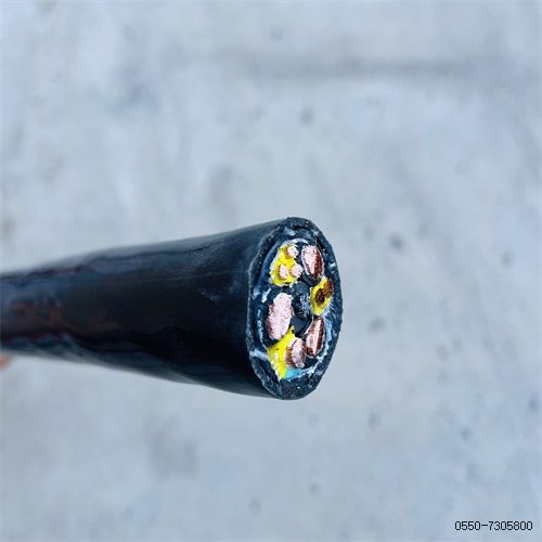 ֵ³229.jpg