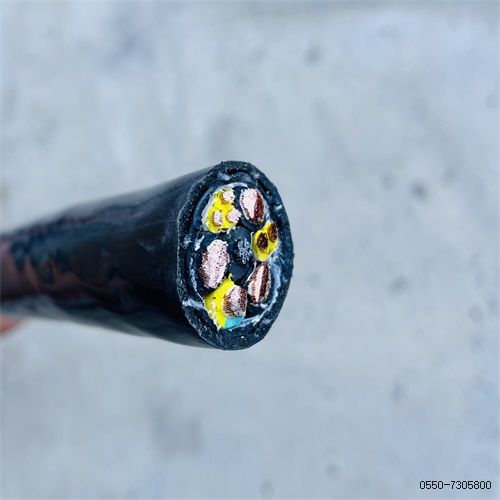 ֵ³230.jpg