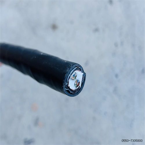 ֵ³205.jpg