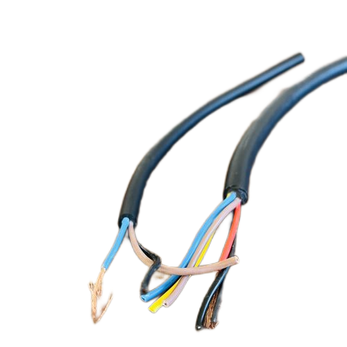 IMG_5396(1).png