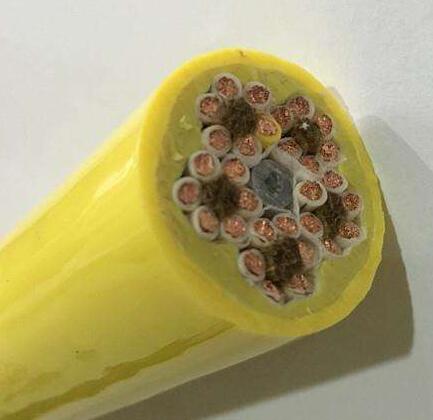 ׾(RAYBET)ѵӾƽ̨