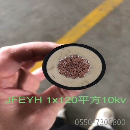 ׾(RAYBET)ѵӾƽ̨