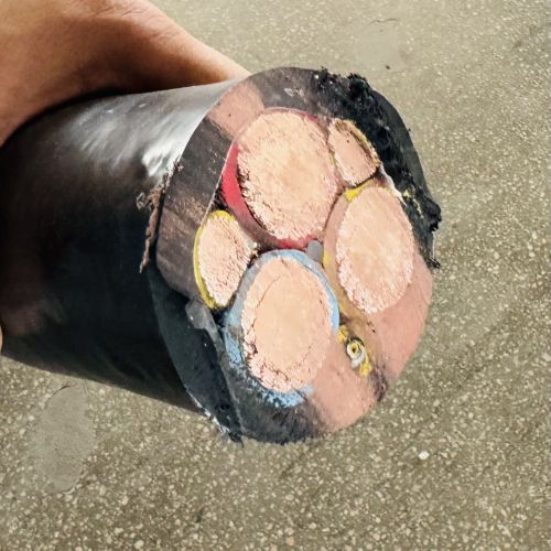 ׾(RAYBET)ѵӾƽ̨