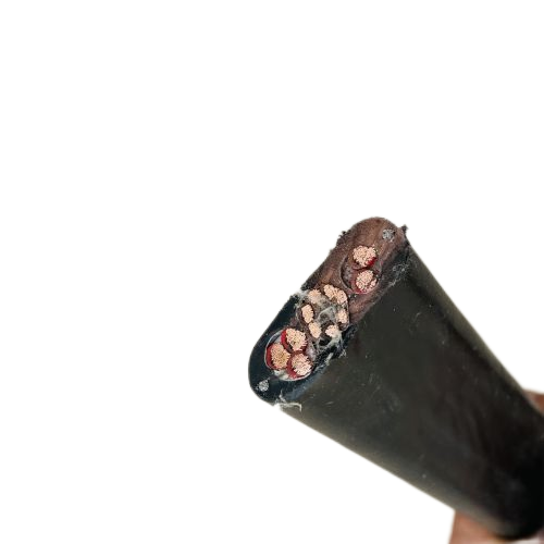 ׾(RAYBET)ѵӾƽ̨