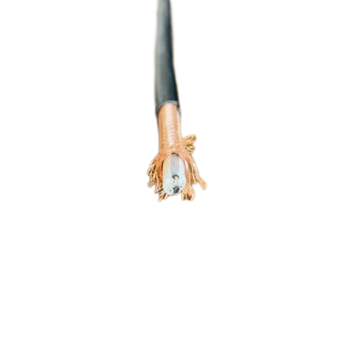 ׾(RAYBET)ѵӾƽ̨