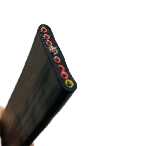 ׾(RAYBET)ѵӾƽ̨