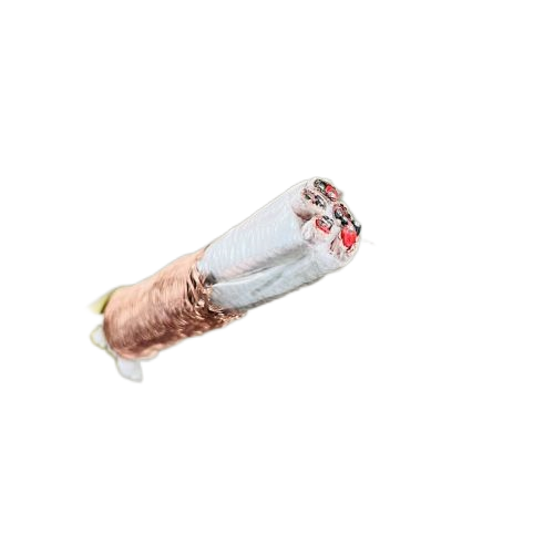 ׾(RAYBET)ѵӾƽ̨