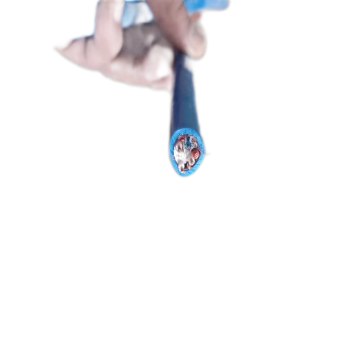 ׾(RAYBET)ѵӾƽ̨