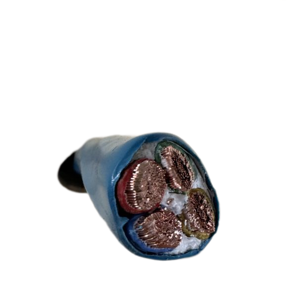 ׾(RAYBET)ѵӾƽ̨