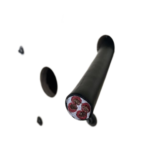 ׾(RAYBET)ѵӾƽ̨
