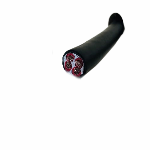 ׾(RAYBET)ѵӾƽ̨