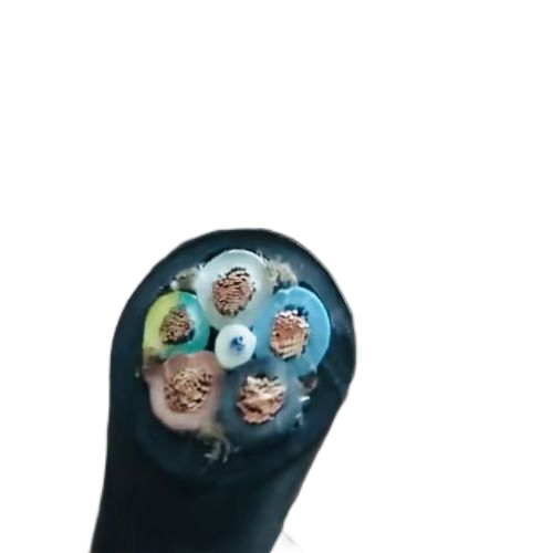 ׾(RAYBET)ѵӾƽ̨