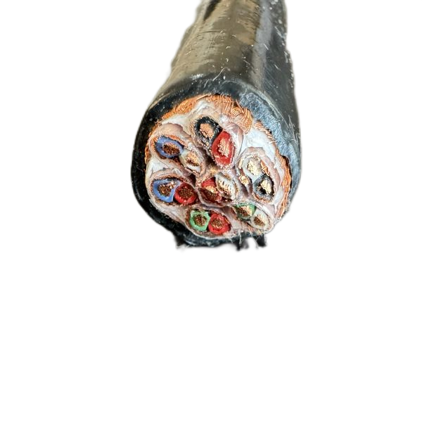 ׾(RAYBET)ѵӾƽ̨