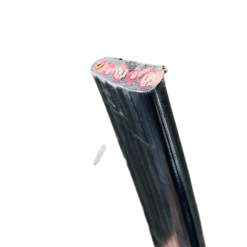 ׾(RAYBET)ѵӾƽ̨