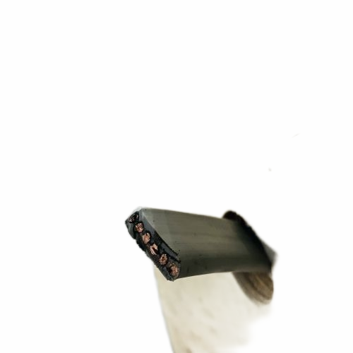 ׾(RAYBET)ѵӾƽ̨