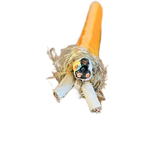 ׾(RAYBET)ѵӾƽ̨