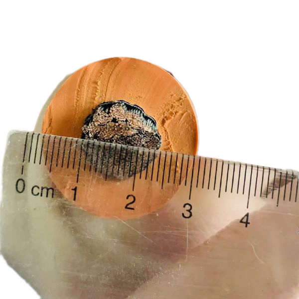 ׾(RAYBET)ѵӾƽ̨