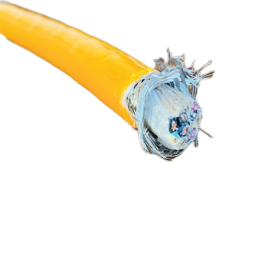 ׾(RAYBET)ѵӾƽ̨