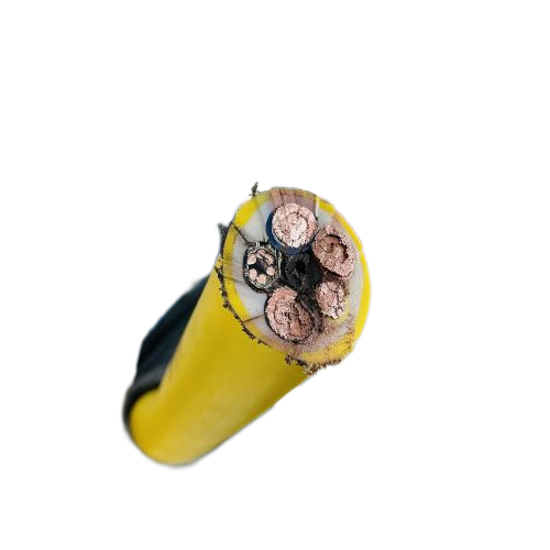 ׾(RAYBET)ѵӾƽ̨